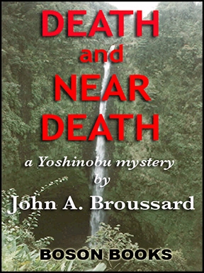 Title details for Death and Near Death by John A. Broussard - Wait list